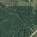 Intoxicated person with gun at state forest gatehouse