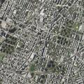 Disorderly person reported near 149th Street and Intervale Avenue