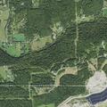 Tree branch on power lines causes small fire