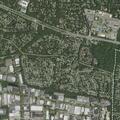 Man reports assault by staff member at Plant Avenue