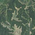 Loose mastiff reported near Hickory Point field