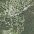 Elderly woman feels faint near David Street in Woodward Township