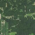 Large tree blocking road near Jubilee State Park
