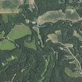 Loose muddy dog reported near North Fork Road