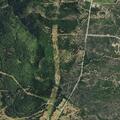 17-year-old male injured by tree in logging accident