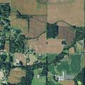 Car and deer crash on County Road 1775