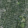 Adult bitten by dog near Mount Vernon Road park