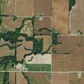 Tongue swelling in woman after sting at County Road 304