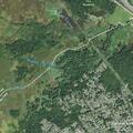 Deer in roadway on Ridgedale Avenue near Drake