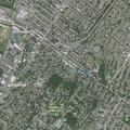 86-year-old female falls at home but not injured