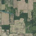 Loose goats reported near East (number withheld) North in Twelve Mile
