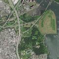 Teenagers and older man fight at Pelham Bay Park