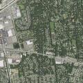 Elderly woman injured in fall near Lake Grove