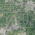 Loose pit bull reported at Park and Dickinson