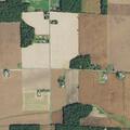 Woman vomiting near Bluffton