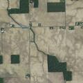 Cows loose in roadway on North 600 West