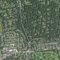 Sick male found in backyard near Locust Valley