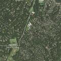 Complaint of illegal tree cutting on Beatty Court