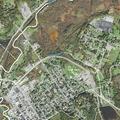 Man allergic to bee stings at Philipsburg residence