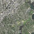 96-year-old woman with stroke symptoms in apartment