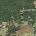 Person having diabetic emergency near Polly Pine Road