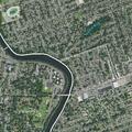 Person falls from tree at Elmwood Terrace