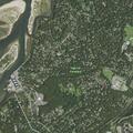 Person reported in backyard at Stony Brook home