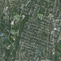 Loose dog reported at Brookside Park