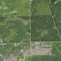 Downed power lines on County Road 4552