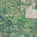 91-year-old woman with blood in urine near Hartville