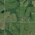 Missing calf reported near Old Mill Road
