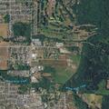 Person with knee problems and illness at Timothy Rd