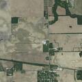 Loose dog running in Tanner and Mulberry area
