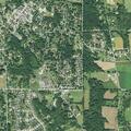 Sick raccoon reported on Clinton Road