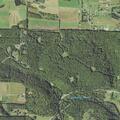 Utility lines down on Rock Run Road