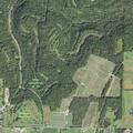 90-year-old woman falls near Pheasant Farm Road