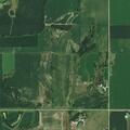 Cows loose near Branched Oak Road property