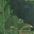 Dog left tied to tree at Branched Oak campground