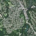 Tree blocks roadway on Magnolia Avenue