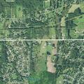 79-year-old male found bruised after fall