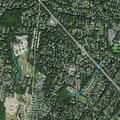 Loose dog foaming at mouth on Russell Avenue