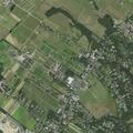 People with flashlights enter tree farm from gray sedan