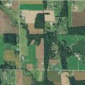 Cows briefly block roadway near Township Road 346