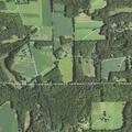 Elderly woman reports shoulder pain in Clay Township