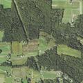 Man has seizures near Hemlock Road in Henderson Township