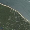 94-year-old female falls near Woods Lane in Northwest Harbor