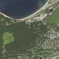 Animal locked inside vehicle in Montauk lot