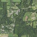 22-year-old male with allergic rash at campground