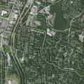 Tree blocking roadway on Glenbrook Drive