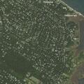 Elderly female reported sick near Sycamore Drive